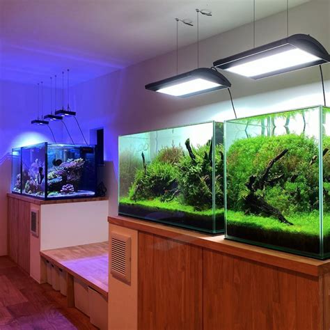 japanese planted aquarium