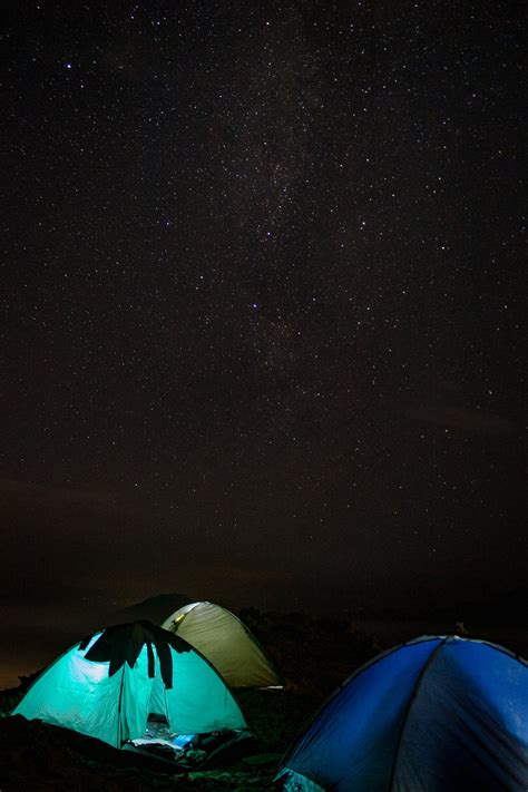 Pine Trees Under Starry Night Sky · Free Stock Photo