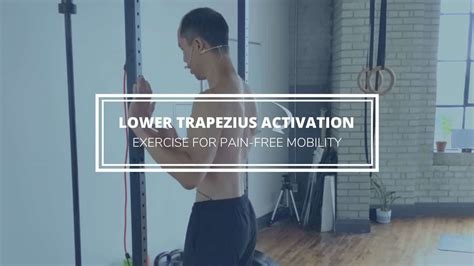 Trapezius Strain Exercises Handout