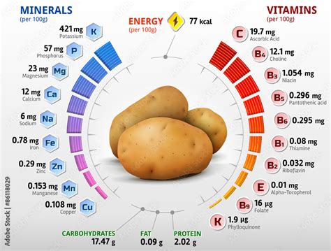 Vitamins and minerals of potato tuber. Nutrition facts of potato Stock ...