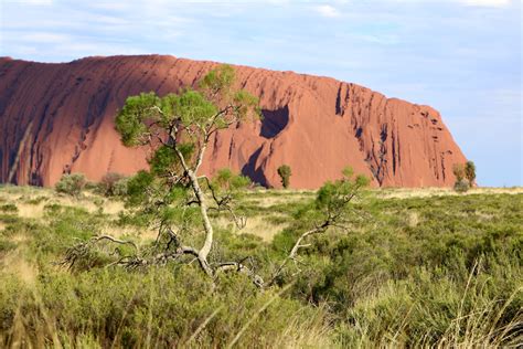 A guide to stargazing at Uluru, Northern Territory | Jetstar