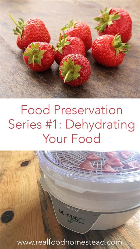 Food Preservation Series 1 Dehydrating Your Food Artofit