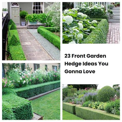 23 Front Garden Hedge Ideas You Gonna Love Sharonsable