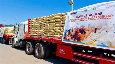 Agro Rural Comercializar Mil Toneladas De Guano De Las Islas A