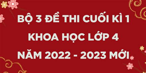 Top 13 đề Thi Khoa Học Lớp 4 Mới Nhất Năm 2023 Kiến Thức Cho Người Lao Động Việt Nam