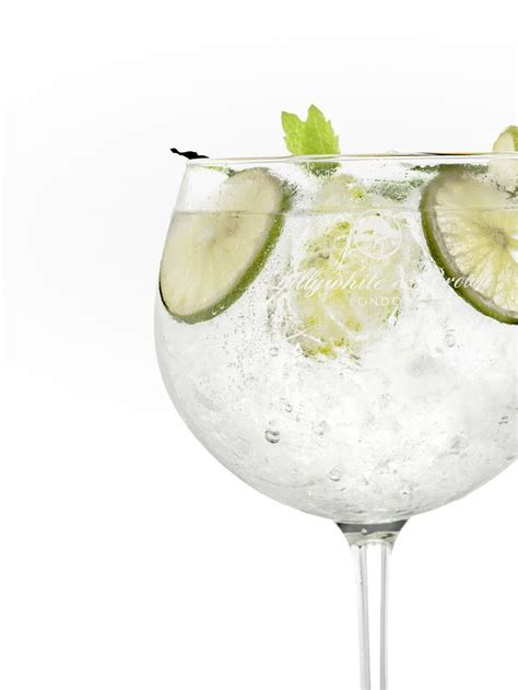 Gin Glasses Set Of 2 560ml Large Gin Glass T Set Copa De Balon Gin And Tonic Cocktail