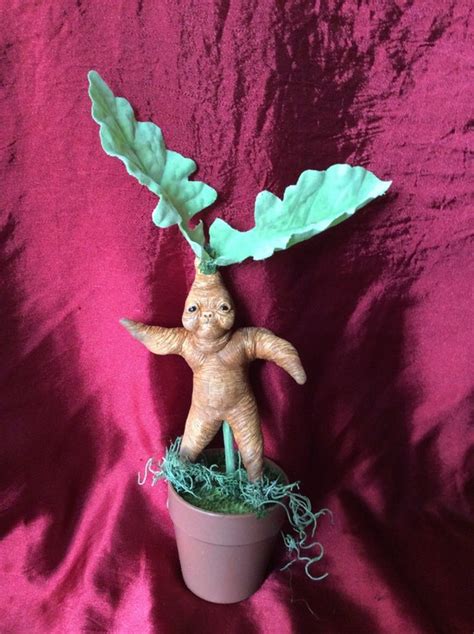 Harry Potter Mandrake Root Fan Art Doll By Panlora On Etsy