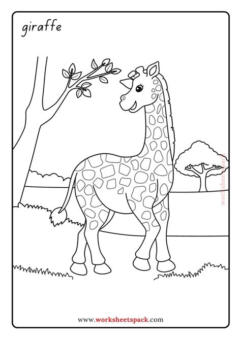 Free Zoo Animal Coloring Pages - worksheetspack