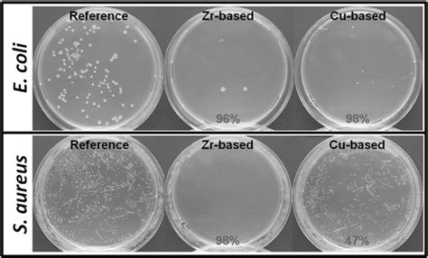 Gram-negative (E. coli) and Gram-positive (S. aureus) bacterial growth ...