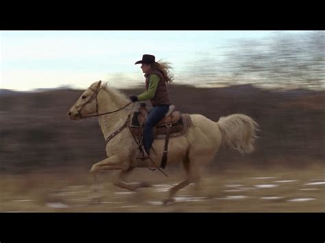 Amy Rides Dark Horse Heartland Heartland Tv