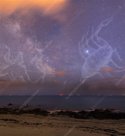 Constellations in a night sky - Stock Image - C004/3044 - Science Photo ...