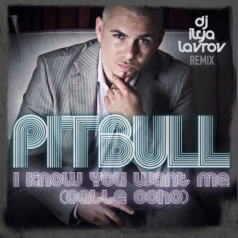 Pitbull I Know You Want Me Calle Ocho DJ ILYA LAVROV Remix DJ