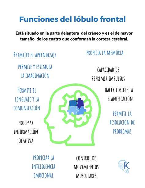 El Cerebro Y Aprendizaje Kichihua