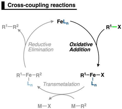 Scheme 1 General Catalytic Cycle Of Iron Catalyzed Cross Coupling