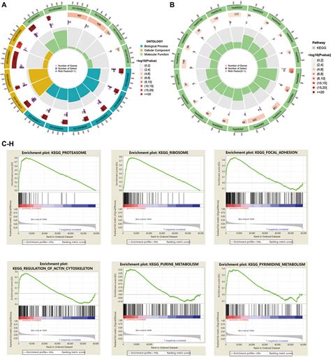 Frontiers The Prognostic Value And Immune Landscape Of A Cuproptosis