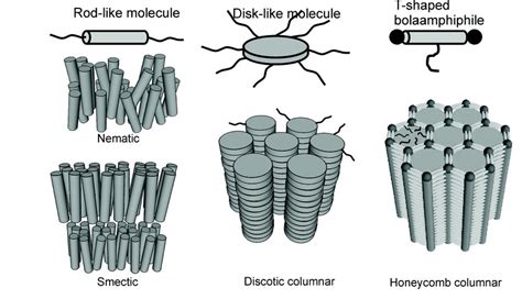 Axial Bundle Phases New Modes Of Self Assembly In Liquid Crystals