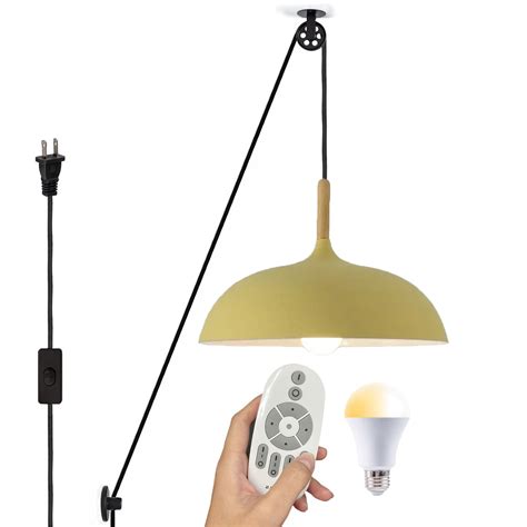 Fsliving Remote Control Wooden Handle Pendant Light With Ft Plug In