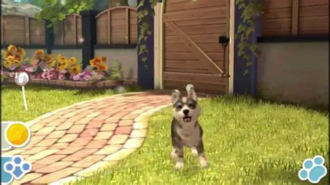 PlayStation Vita Pets Gameplay - YouTube