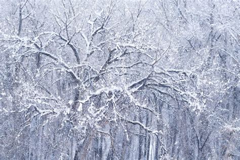 Durango Colorado Winter Nature Photography