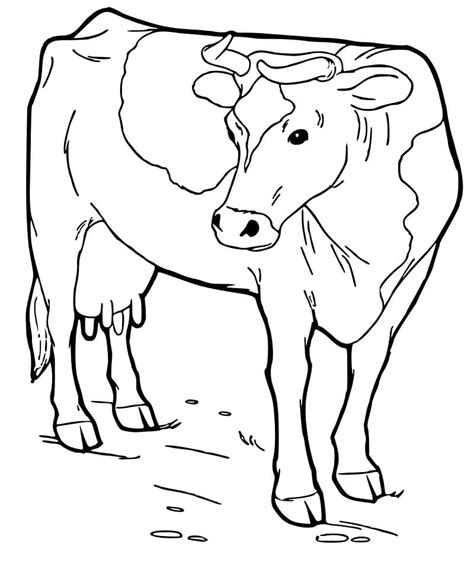 Coloring Pages Cow Coloring Page Cow Coloring Page Full Cow Coloring Porn Sex Picture