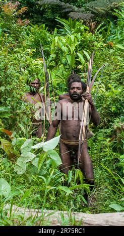 Los hombres de la tribu Korowai están regresando de la caza Tribu de