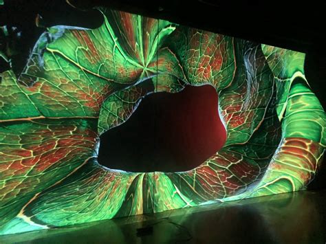 Looking Glass Interactive Installation - Zilog80