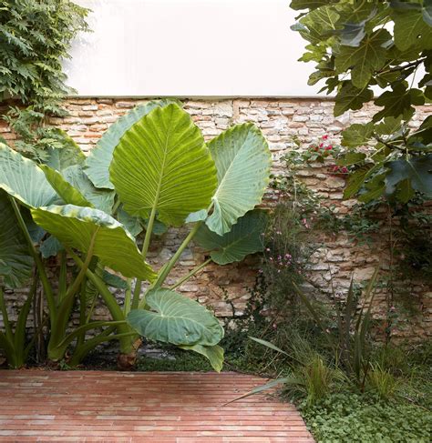 Mira House By Arturo Sanz Semi Detached Houses