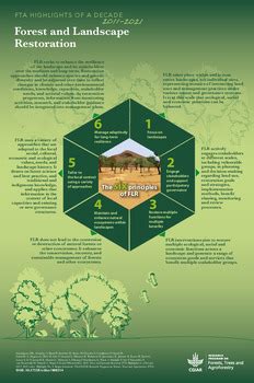 The Principles Of Forest And Landscape Restoration Cifor Knowledge