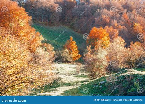 Colorful Autumn Foliage Parco Nazionale Abruzzo Italy Stock Photo