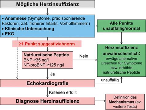 Therapie Der Herzinsuffizienz Mit Reduzierter Auswurffraktion Was Ist