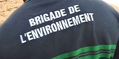 Une Brigade De L Environnement Est N E Royan