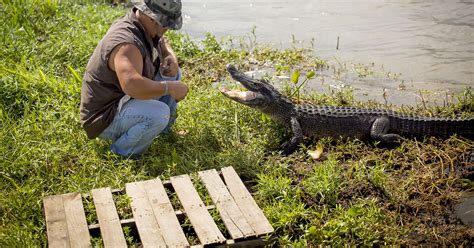 New Orleans Swamp & Bayou Boat Tour | GetYourGuide