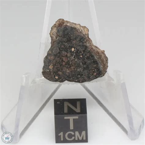 Nwa 1465 Meteorite 1465 51 The Meteorite Exchange Inc