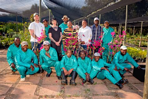 Gallery - Montrose Nursery | Morningside Sandton