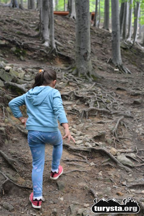 Lesny Park Niespodzianek W Ustroniu Turystaorg 12 Turysta Org