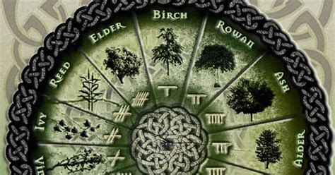 Tiphareth Tarot & Astro: Celtic Tree Calendar - the month of Ash