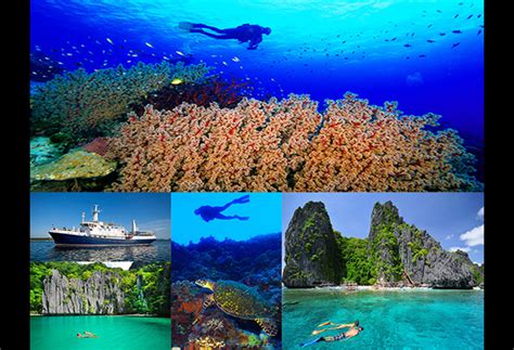 Scuba Diving Tours In The Philippines - EcoWorldly