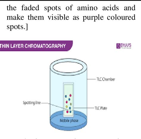 [pdf] Thin Layer Chromatography Of Amino Acids Semantic Scholar