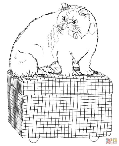 Persian Cat coloring page | Free Printable Coloring Pages