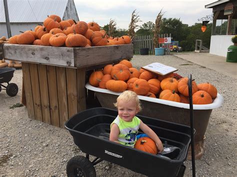 Agritourism | Iowa Farms | Travel Iowa