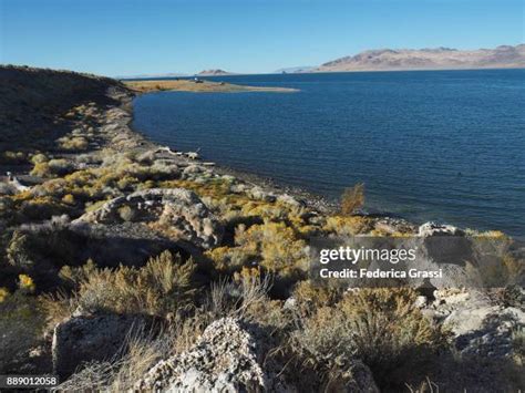 276 Pyramid Lake (Nevada) Stock Photos, High-Res Pictures, and Images ...