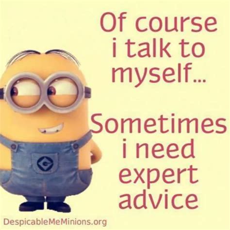 The Minions Say Exactly What We Re All Thinking