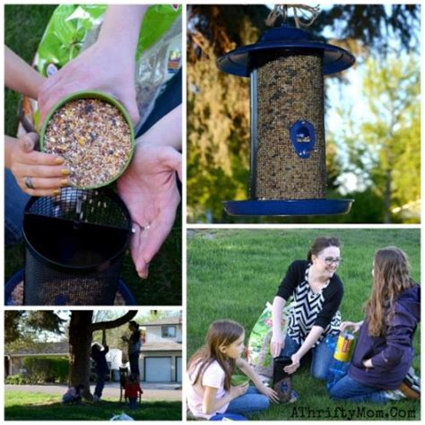 Bird feeders at ACE Hardware, where to buy birdfeeders, how to make ...