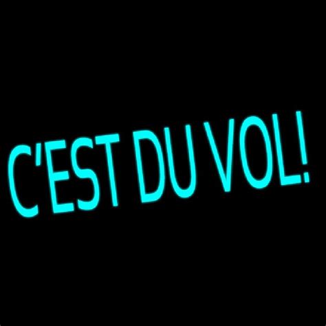 Cest Du Vol Handmade Art Neon Sign Neon Sign USA Online