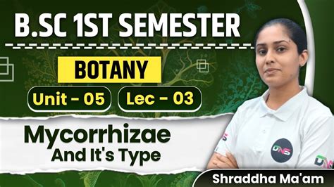 B Sc St Semester Botany Unit Th Mycorrhizae And Its Typed Lecture