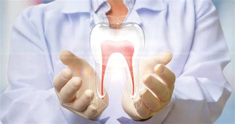 Biological Endodontics Dubai Dr Roze Biodental Clinic