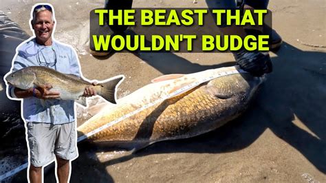 🌊 Unbelievable Surf Fishing Adventure This Massive Catch Will Blow