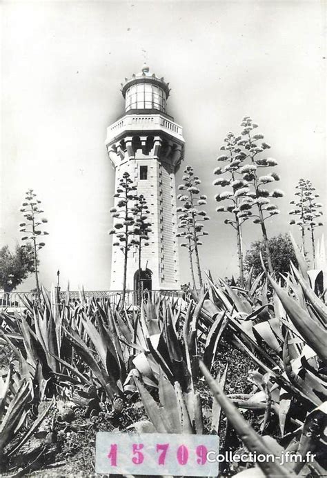 CPSM FRANCE 34 Sète le phare principale et ses aloès 34 herault