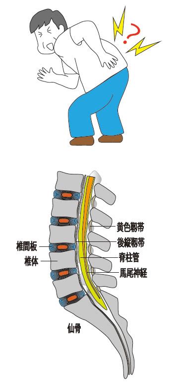 非特異的腰痛 整形外科の病気 どうやリハビリ整形外科