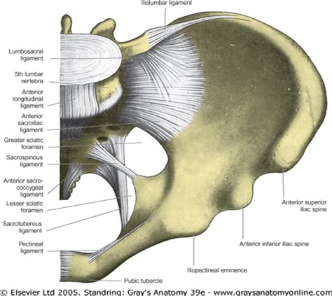 Forensic Medicine Notes And Mcqs Part 1 Ipcs And Courts « Review Of